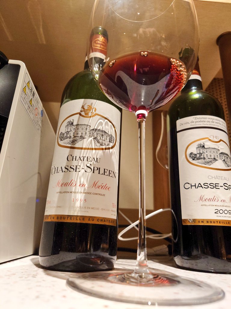 Chateau Chasse-Spleen 1995